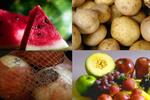 اطلاعیه وزارت کار برای تقویت زنجیره ارزش محصولات کشاورزی
