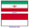 آغاز رایزنی‌های ایران و اندونزی در زمینه کشت فراسرزمینی