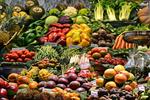 تولید محصولات اساسی بدون وقفه در حال انجام است