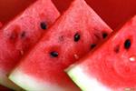 واکنش فلسفی به ادعای نماینده دومای روسیه درباره هندوانه ایرانی