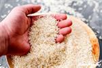 قیمت برنج پاکستانی به 145هزار تومان کاهش یافت