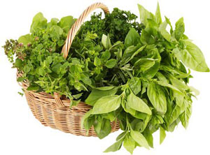 سبزی خوردن