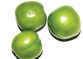 گوجه سبز