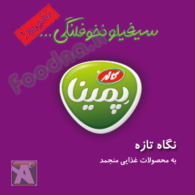 پمینا