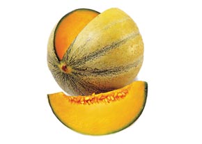 طالبی
