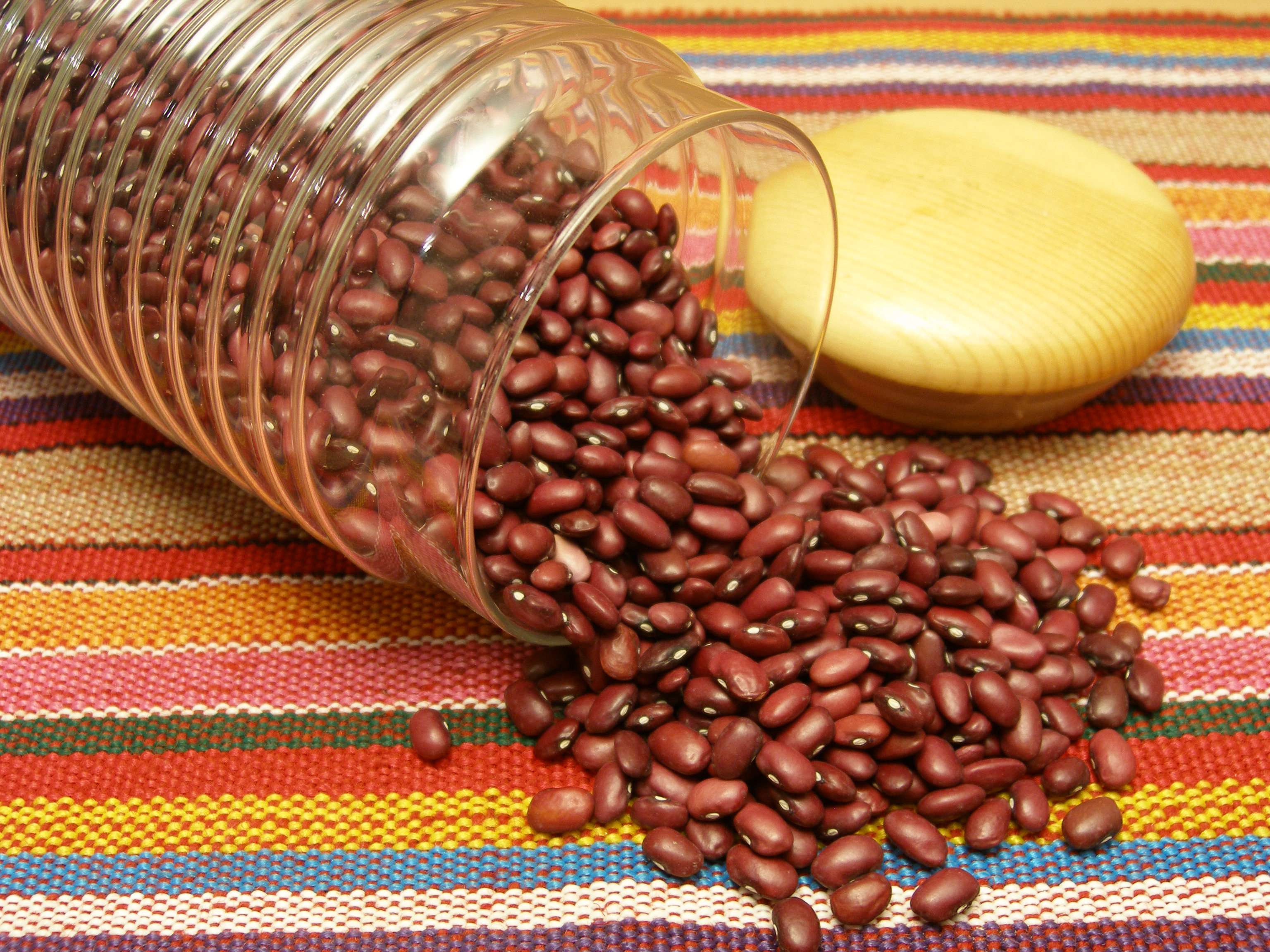لوبیا