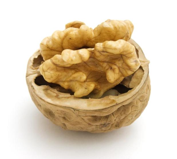 گردو