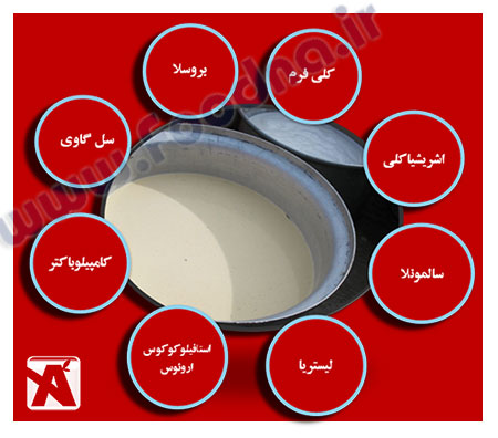 شیرفله