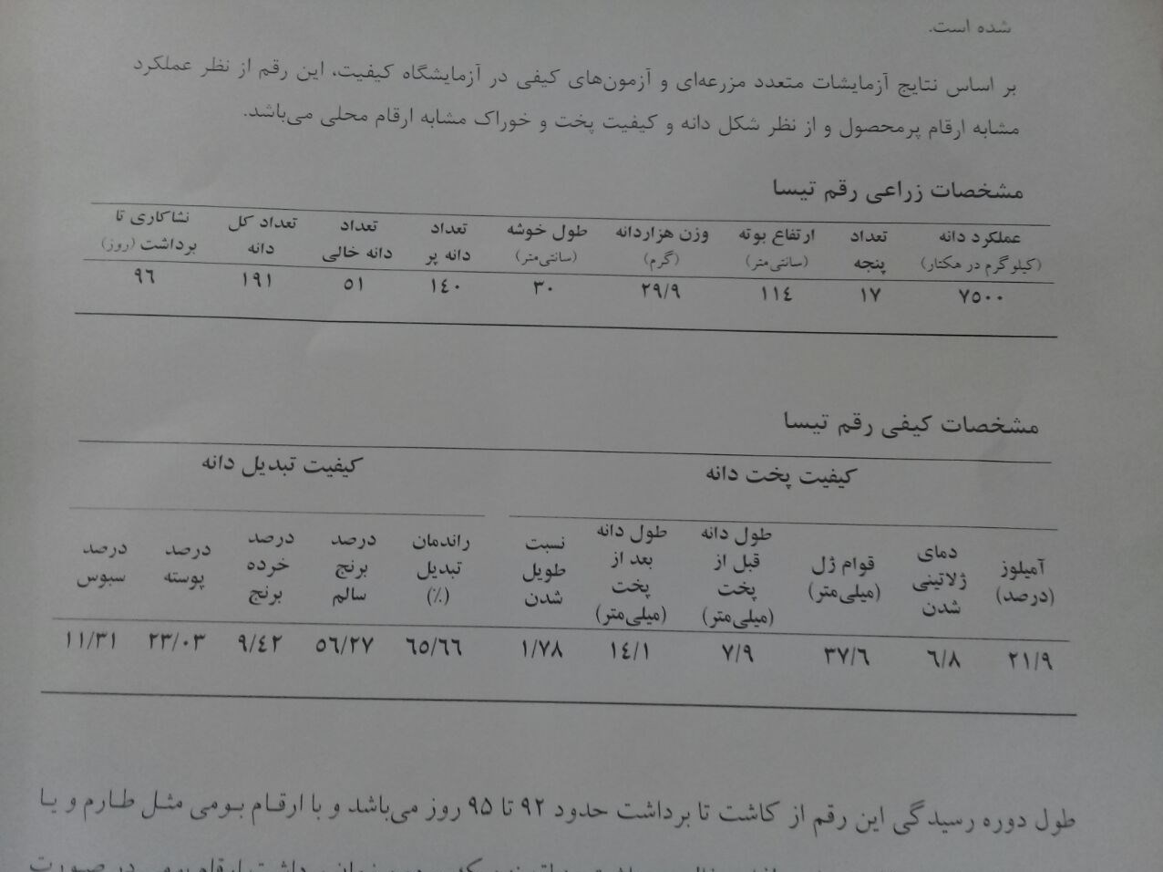 برنج